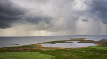 Gulf Coast’s Top 5 Roofers for Storm Season: Why We’re Watching Priority Roofing’s Fast-Response Model
